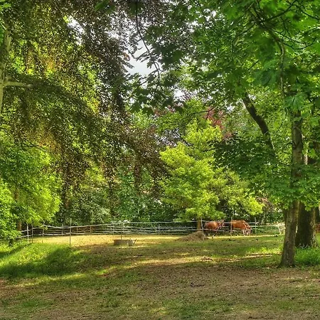 Apartman Landhauszimmer *